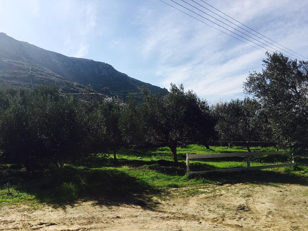 Onar Studios & Residences Pisses Esterno foto
